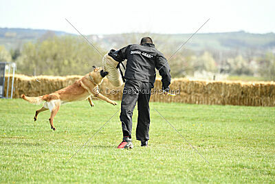 Matrix de Solare's Venezuela