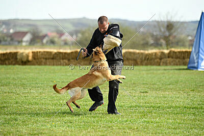 Matrix de Solare's Venezuela