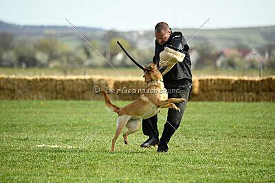 Matrix de Solare's Venezuela