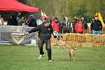 Matrix de Solare's Venezuela