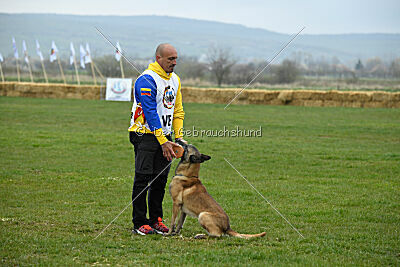 Matrix de Solare's Venezuela