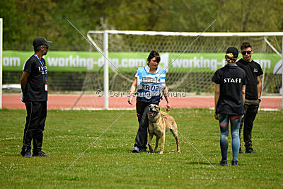 Matrix de Solare's Venezuela