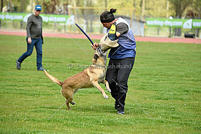 Matrix de Solare's Venezuela