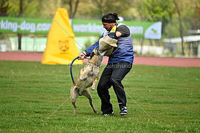 Matrix de Solare's Venezuela
