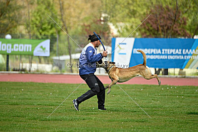 Matrix de Solare's Venezuela