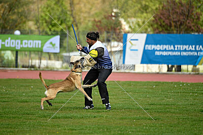 Matrix de Solare's Venezuela