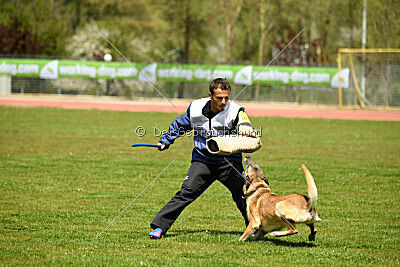 Matrix de Solare's Venezuela