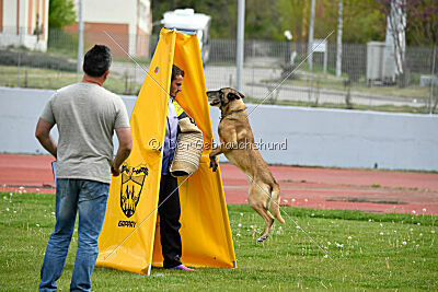 Matrix de Solare's Venezuela