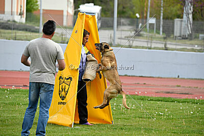 Matrix de Solare's Venezuela