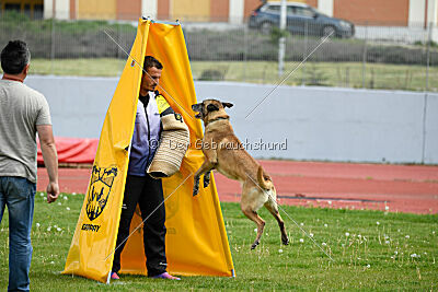 Matrix de Solare's Venezuela