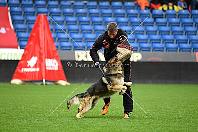Mats le Petit Fouilleur