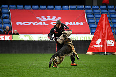 Mats le Petit Fouilleur