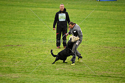 Max vom Mochauer Land