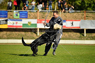 Max vom Mochauer Land