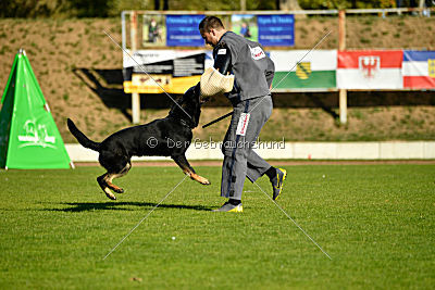 Max vom Waldhäuser Schloß