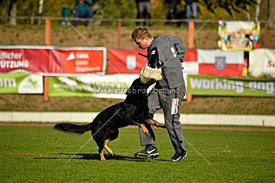 Max vom Waldhäuser Schloß