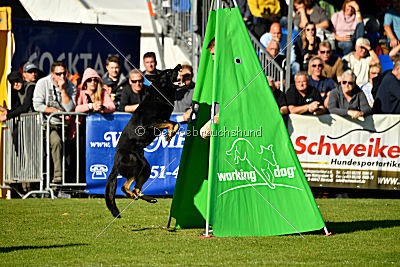 Max vom Waldhäuser Schloß