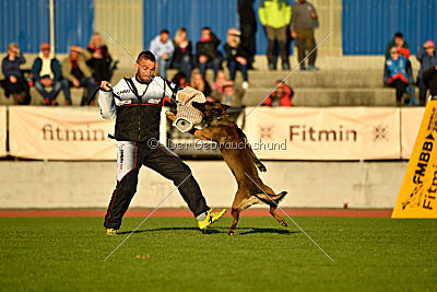 Maxi van de Boarebreker