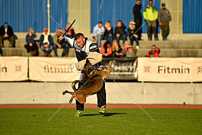 Maxi van de Boarebreker