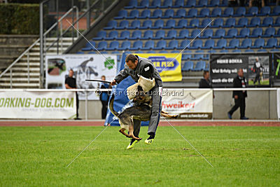 Maxxi von der Hagenmühle