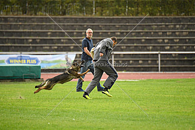 Maxxi von der Hagenmühle