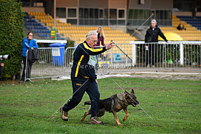 Maxxi von der Hagenmühle
