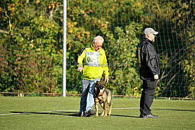Maxxi von der Hagenmühle