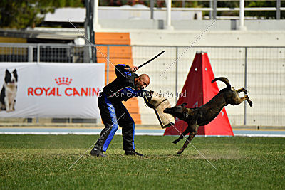 Mbo vom Haus der Drachen