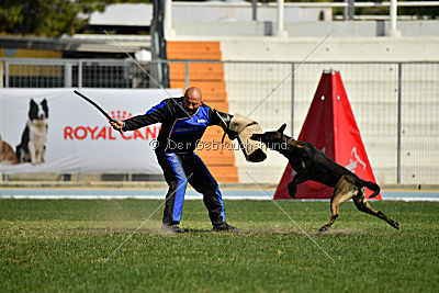 Mbo vom Haus der Drachen