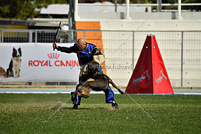 Mbo vom Haus der Drachen