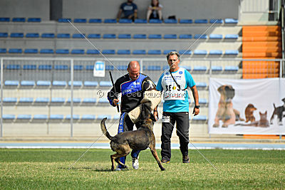 Mbo vom Haus der Drachen