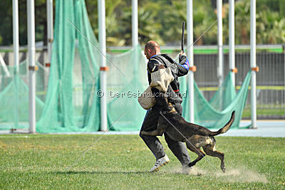 Mbo vom Haus der Drachen