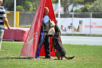 Mbo vom Haus der Drachen