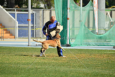 Mecberger Lassie