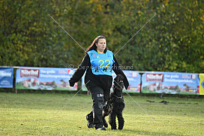 Mefisto Mio Goldest Danubius