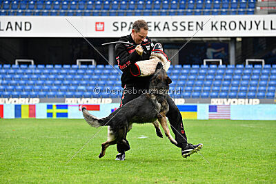 Mexx du Niclausenholz