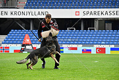 Mexx du Niclausenholz