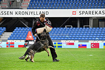 Mexx du Niclausenholz