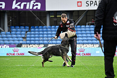 Mexx du Niclausenholz