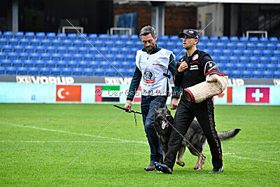 Mexx du Niclausenholz