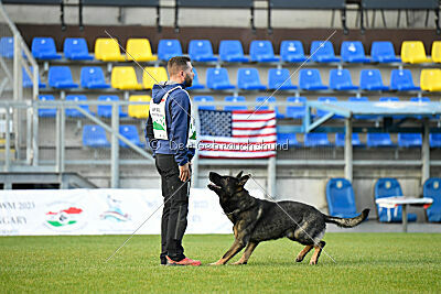 Meïko des Orckis de l'Adret