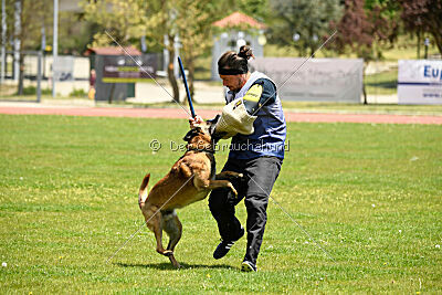 Mia Draconis Arek