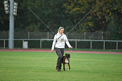 Mikai vom Hollermorgen