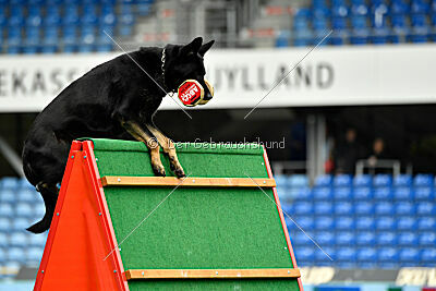 Milly aus der Königshöhle