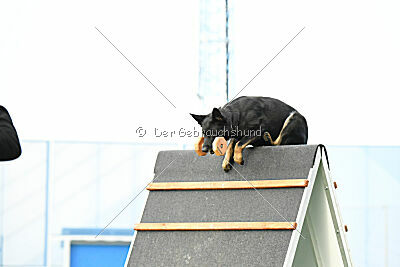 Milly aus der Königshöhle