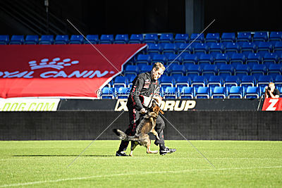 Mindy vom Ratsenheim