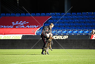 Mindy vom Ratsenheim