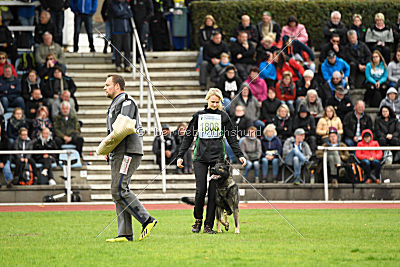 Miro von der alten Schmiede