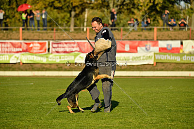 Molly vom Kretzschauer Land