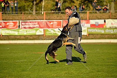 Molly vom Kretzschauer Land
